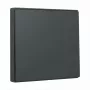 Switch rocker plate Gira System 55 Wippe Anthracite 329628 for modular frames