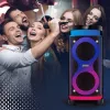 Portable speaker MANTA SPK0601B100, 100 W, Bluetooth, karaoke, wireless microphone, battery, equalizer, disco lighting