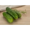 Cucumber Ares F1 Toraf Vegetable Seeds, 5g Pack