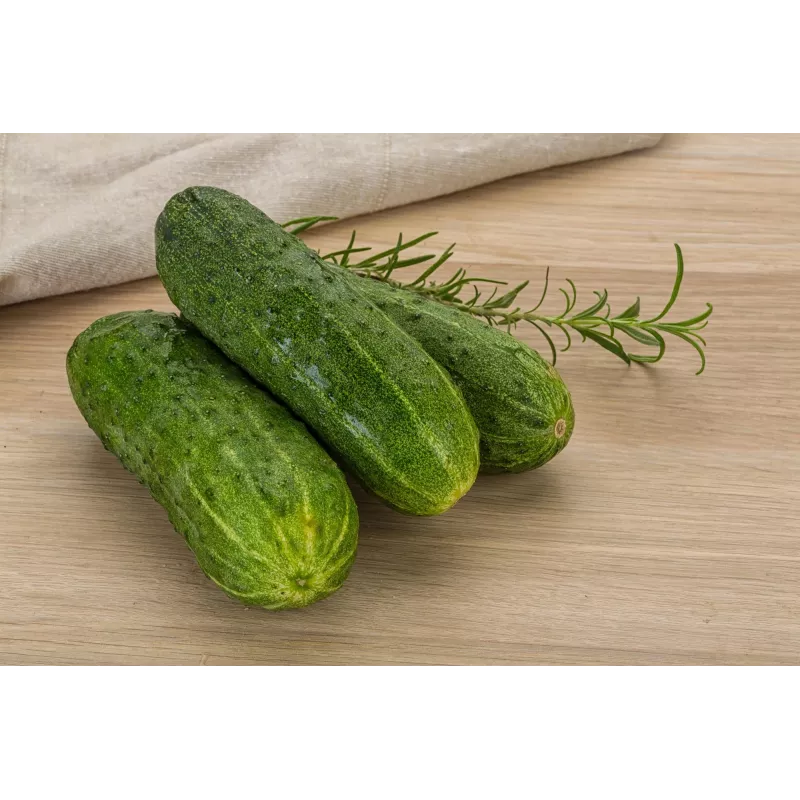 Cucumber Ares F1 Toraf Vegetable Seeds, 5g Pack