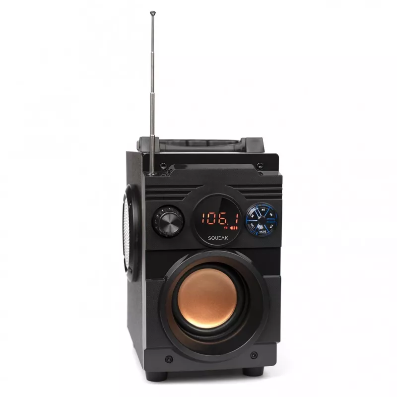 Squeak Bassblaster Bluetooth 5.1 Speaker, Fm Radio, Mp3 Player Sq1001