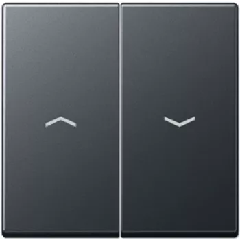 Wall control switch panel Jung A 595 BF P ANM, black, model A595BFPANM