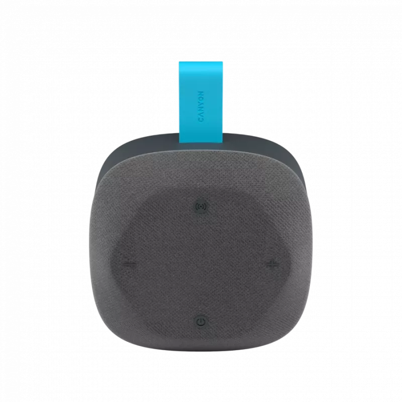 Canyon Hexagon 10 - Bluetooth 5.3 speaker - USB-C - Card Reader - IPX5 - blue-grey