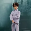 Harry Potter exclusive design collection Harry Potter doll