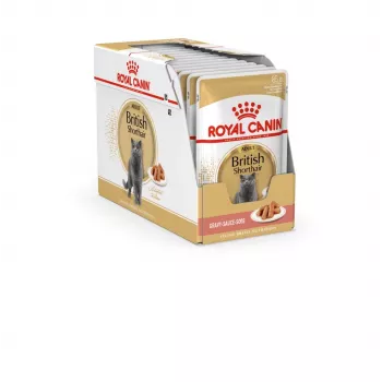 Wet Cat Food Royal Canin British Shorthair Adult sachet 85 g, poultry, ROYAL CANIN Feline Breed Nutrition