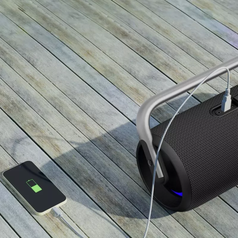 Portable Speaker Manta SPK530-BK, Black