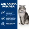 HILL'S Prescription Diet Liver Care - dry cat food - 1,5kg