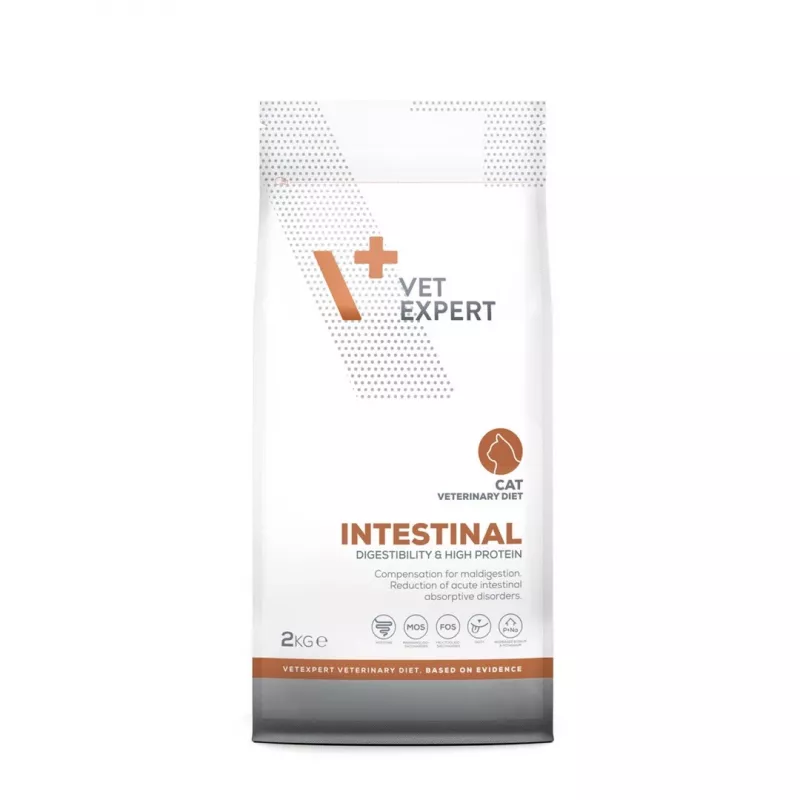 Dry food VETEXPERT Veterinary Diet Intestinal for cats, 2 kg — poultry, 38% protein, 20% fat, gluten- and soy-free