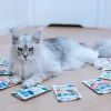 ANIMAL ISLAND Turkey in broth cat food mono-pack 40x85g