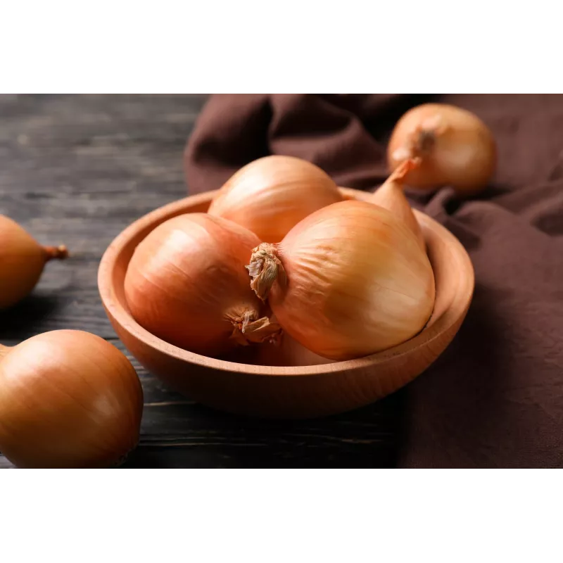 Sochaczew Onion Toraf Vegetable Seeds, 5g Pack