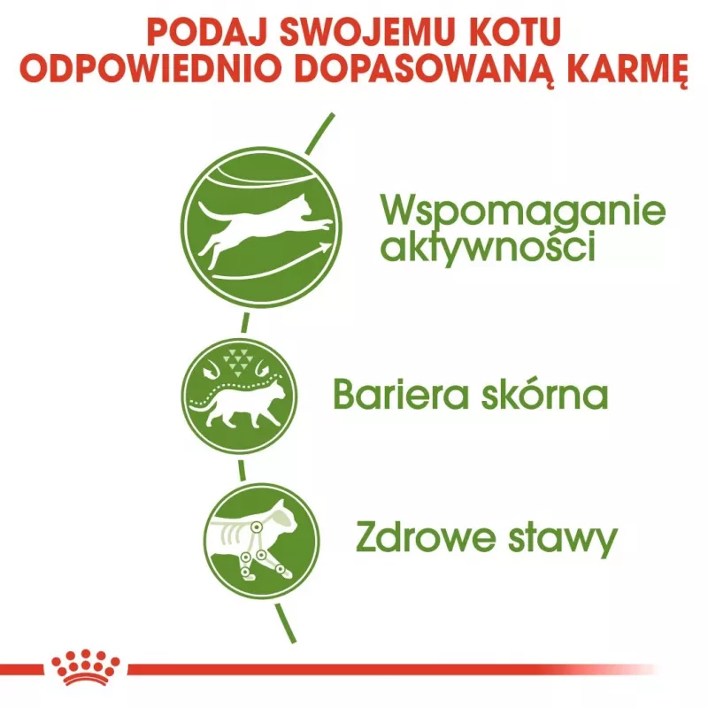 Dry cat food Royal Canin Active Life Outdoor 4 kg — Adult, Poultry, 30% Protein, 20% Fat