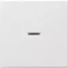 Gira 029003 Networking Device White