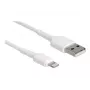 USB Charging Cable DeLOCK 87866 for iPhone iPad iPod 30 cm