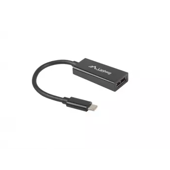 Video Cable Adapter Lanberg AD-UC-DP-01