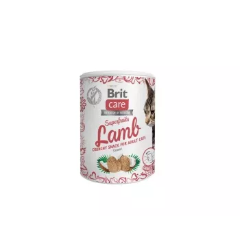 Cat treat Brit Treat Superfruits Lamb 100 g — meaty, grain-free, preservative-free, adult cats