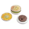 Food dehydrator Concept SO3020 — for mushrooms, herbs and vegetables