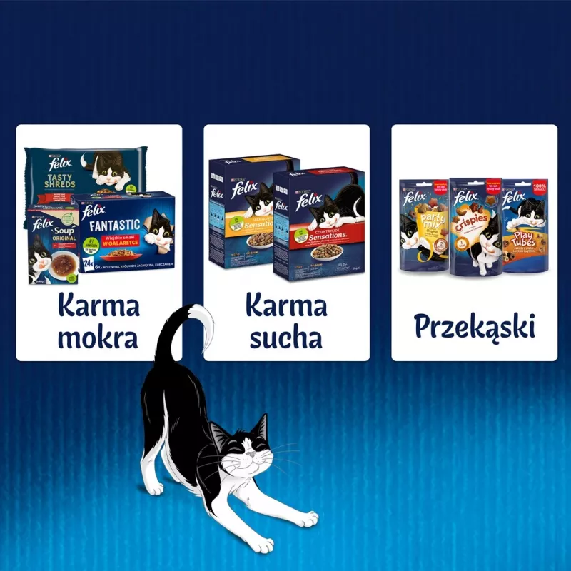 Wet cat food Felix PURINA sachet 85 g — adult rabbit flavor, 82% moisture, 11.5% protein