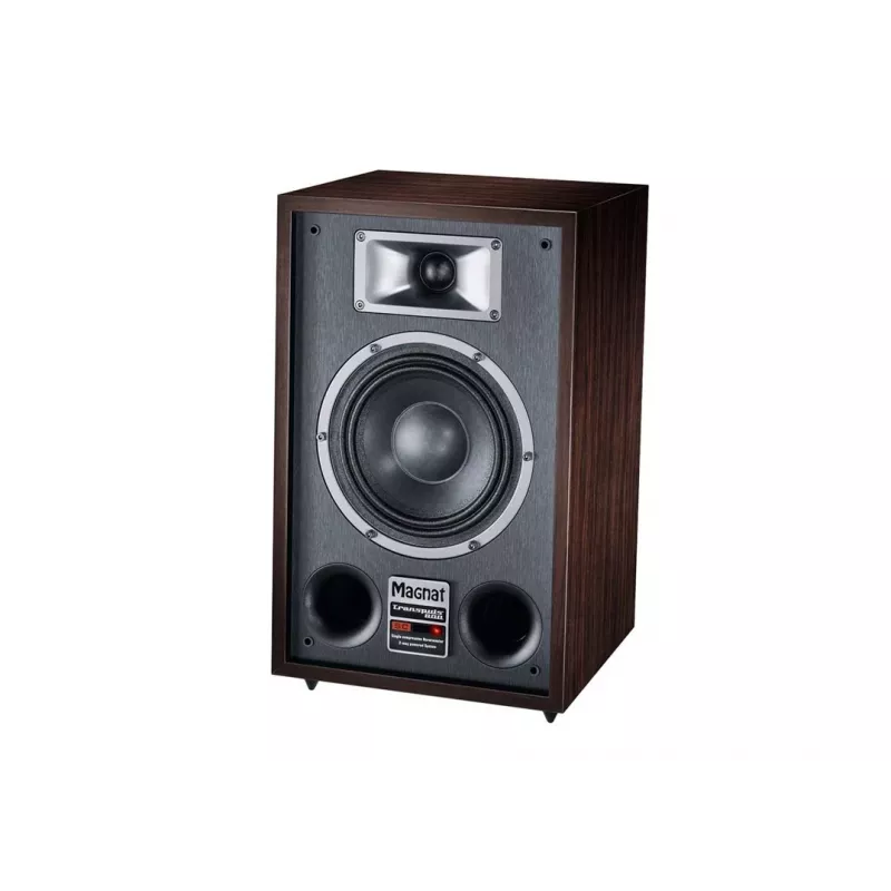 Floorstanding speaker Magnat TRANSPULS 800A 2-way wired & wireless 2×60 W, Bluetooth 5.0, HDMI, Black/Brown