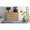 Topeshop 2D4S ARTISAN chest of drawers