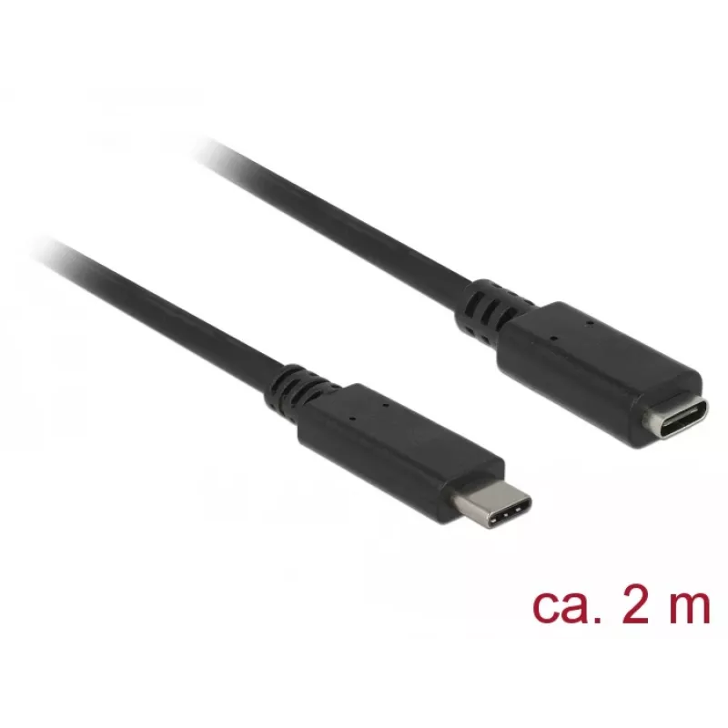 USB Cable DeLOCK SuperSpeed USB 3.2 Gen 1 2m USB C Black