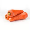 Seed tape Apte Marchew LENKA 6 m — carrot seed strip for sowing