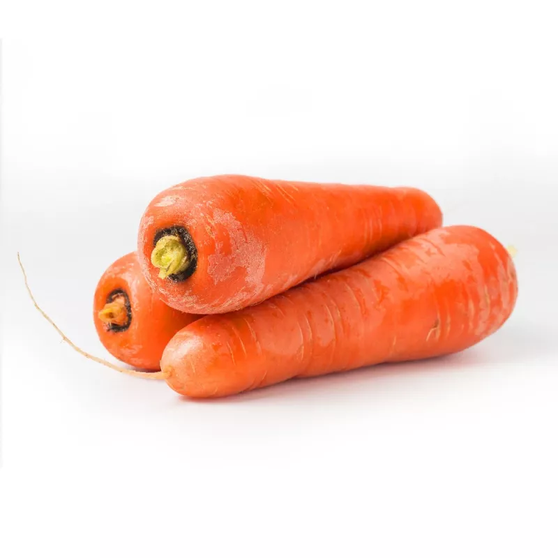 Seed tape Apte Marchew LENKA 6 m — carrot seed strip for sowing