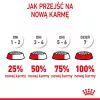 Dry cat food Royal Canin Kitten 2 kg — poultry (chicken) formula, protein 36%, fat 18%