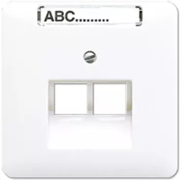Wall Socket Outlet RJ-45 Jung CD 569-2 NAUA WW — White thermoplastic network connector