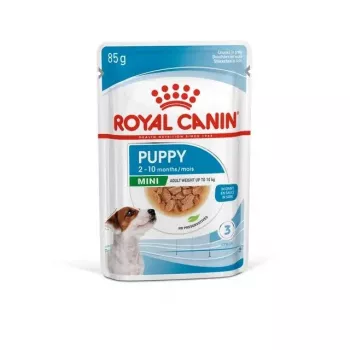 ROYAL CANIN SHN Mini Puppy in sauce - wet puppy food - 12X85g