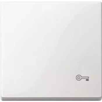 MERTEN Wippe m. Kennzeichnung Schlüssel MEG3303-0319 polarweiss glänzend MEG3303-0319 MEG3303-0319 (MEG3303-0319)