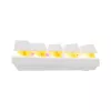 Baracuda DOLPHIN-W-RED Networking Device White