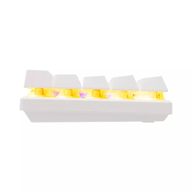Baracuda DOLPHIN-W-RED Networking Device White