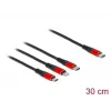 USB Charging Cable DeLOCK 86710 3 in 1 USB Type-C to Lightning Micro USB 30 cm Black Red
