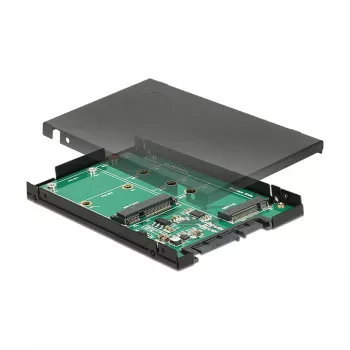 Interface Card DeLOCK 62866 Internal M.2 mSATA