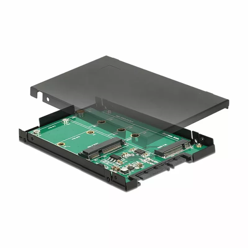 Interface Card DeLOCK 62866 Internal M.2 mSATA