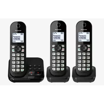 DECT telephone Panasonic KX-TGC 463GB
