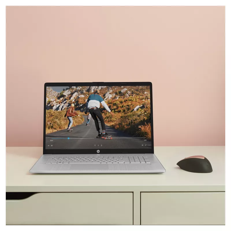 HP 17-cn3659ng A2TZ2EA#ABD Notebook 43,9 cm (17,3) 1920x1080 - Intel Core i5 1334U - 512GB SSD - ohne GPU - HDMI/USB-C - without OS - Silver (A2TZ2EA#ABD)