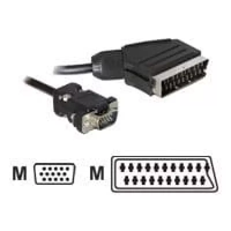 Video cable adapter DeLOCK 65028 SCART (21-pin) to VGA (D-Sub) 2 m