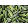 Wisconsin Cucumber SMR 58 Toraf Vegetable Seeds, 5g Pack