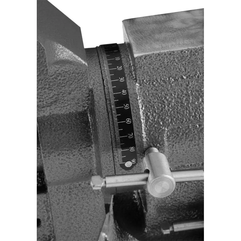 Swivel Locksmith Vise NEO tools 100 mm 360° – bench vise for locksmithing, model 35-030
