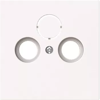 BUSCH-JAEGER 1743-44G central cover plate Antenna 2/Triple-gang (2CKA001724A4432)