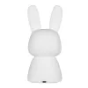 Table night light Tellur TLL441171 LED adjustable brightness, compact bedside lamp
