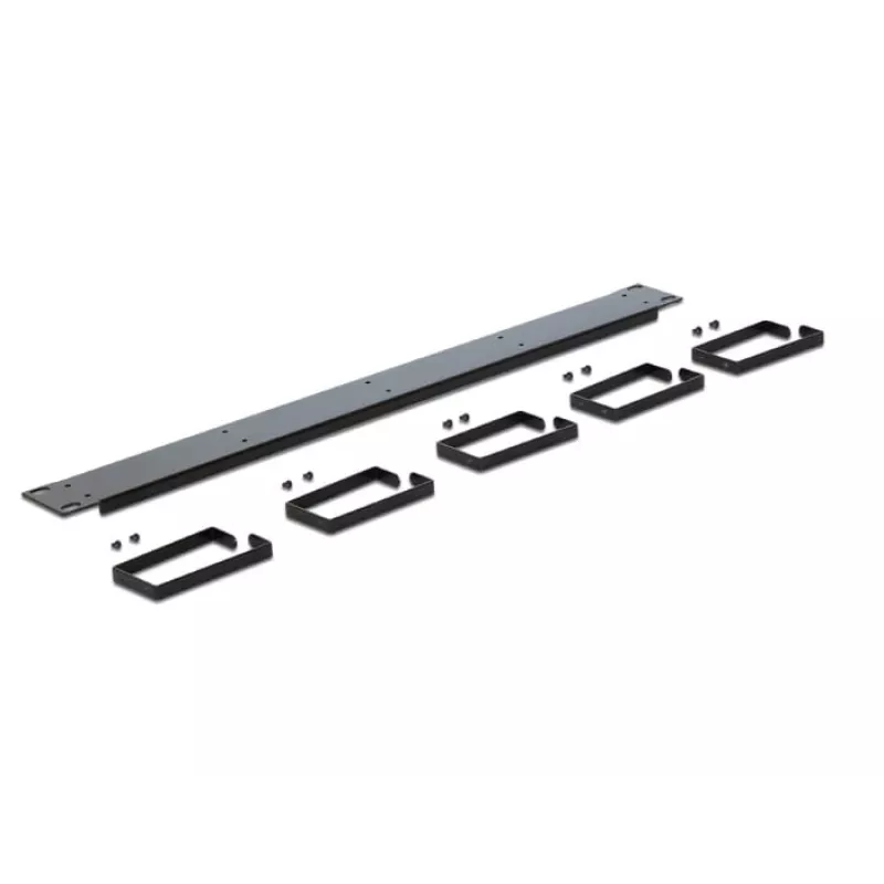 Rack Accessory DeLOCK 42496