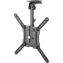 Goobay TV-Ceiling Mount Basic (M), black (70824)