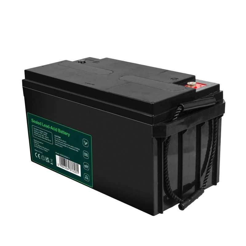 Battery AGM VRLA 12V 65Ah IP54