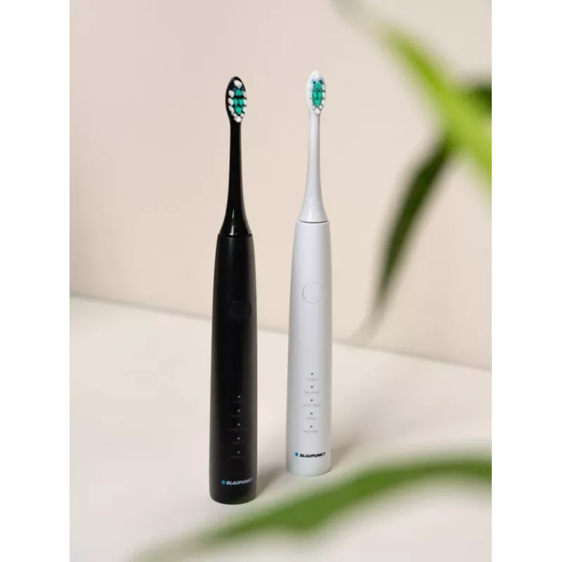 Sonic electric toothbrush set BLAUPUNKT DTS201SET — 2 handles, 6 brush heads, 36,000 movements/min, 5 modes, Li-Ion rechargeable