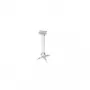 Ceiling Mount Reflecta 23060