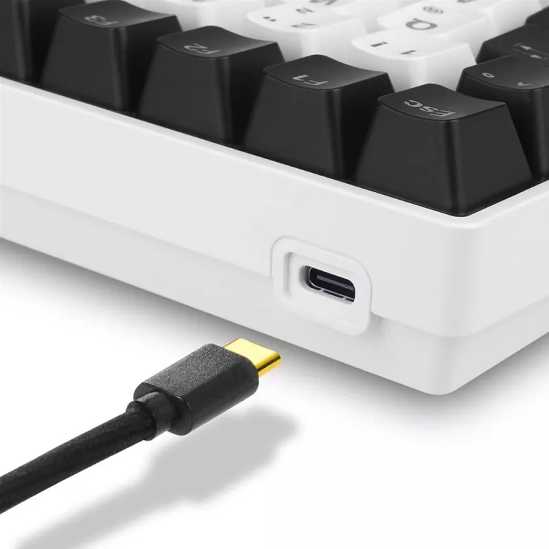 Sharkoon SKILLER SGK50 S3 Keyboard Gaming USB QWERTY Russisch White