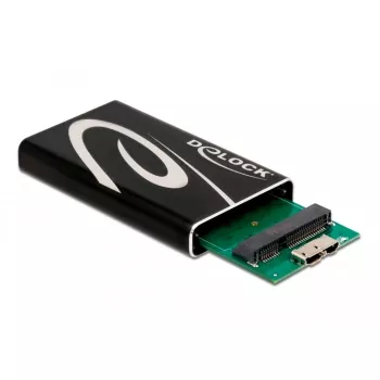 SSD enclosure DeLOCK 42006