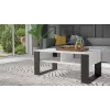 Coffee table top e shop MODERN 2P BIEL CZ — rectangular white tabletop, 2 legs